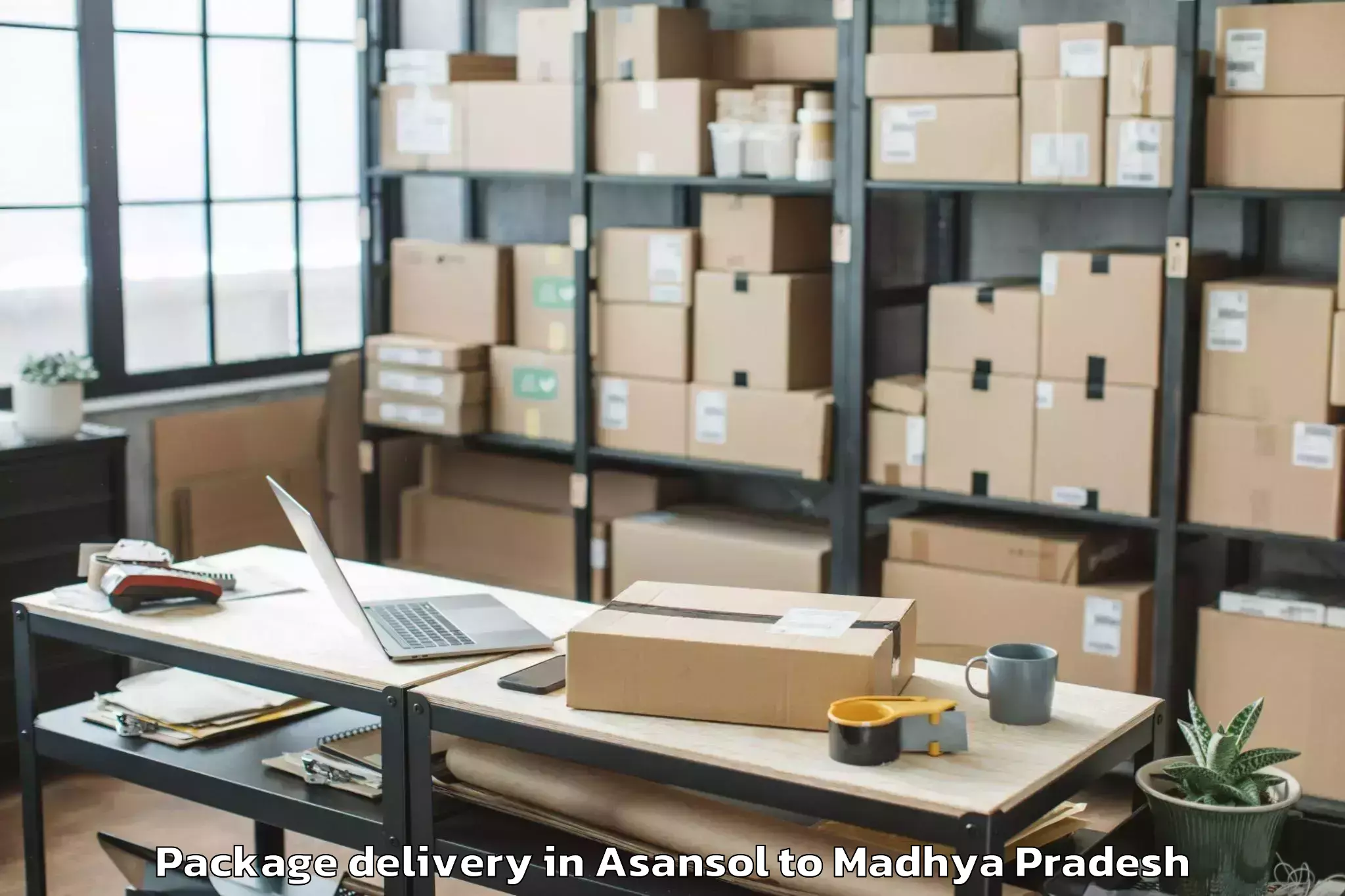 Professional Asansol to Dhamnod Package Delivery